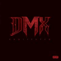 Dmx - Undisputed