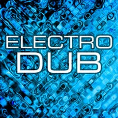 The very best of electro dub